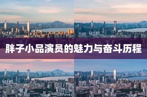 胖子小品演员的魅力与奋斗历程