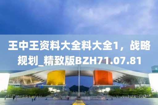 王中王资料大全料大全1，战略规划_精致版BZH71.07.81