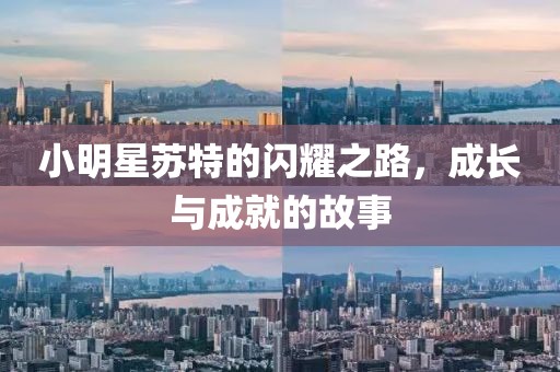 小明星苏特的闪耀之路，成长与成就的故事