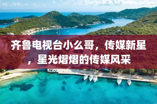 齐鲁电视台小么哥，传媒新星，星光熠熠的传媒风采