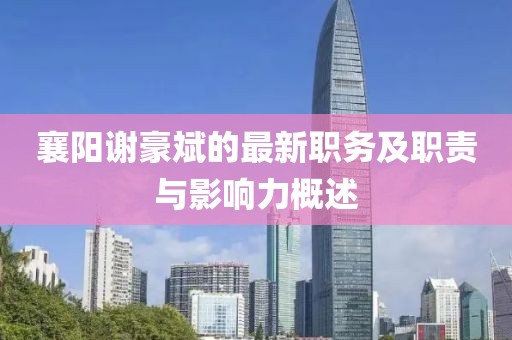 襄阳谢豪斌的最新职务及职责与影响力概述