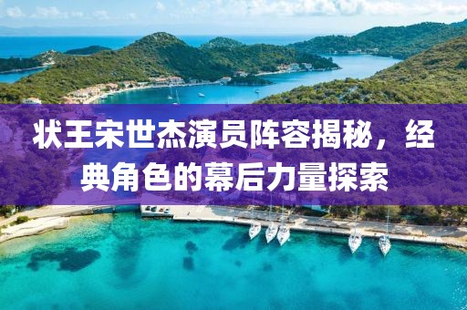 状王宋世杰演员阵容揭秘，经典角色的幕后力量探索