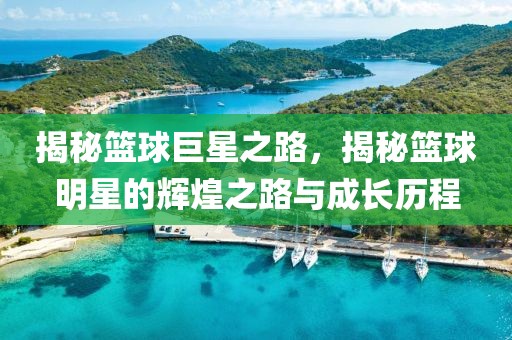 揭秘篮球巨星之路，揭秘篮球明星的辉煌之路与成长历程