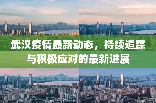 武汉疫情最新动态，持续追踪与积极应对的最新进展
