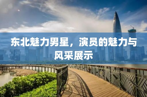 东北魅力男星，演员的魅力与风采展示