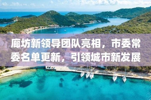 廊坊新领导团队亮相，市委常委名单更新，引领城市新发展
