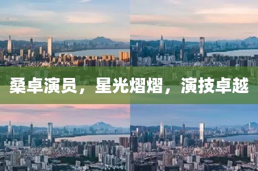 桑卓演员，星光熠熠，演技卓越