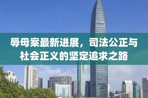 辱母案最新进展，司法公正与社会正义的坚定追求之路