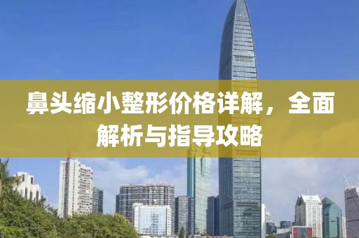鼻头缩小整形价格详解，全面解析与指导攻略
