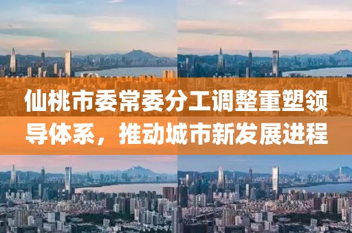 仙桃市委常委分工调整重塑领导体系，推动城市新发展进程