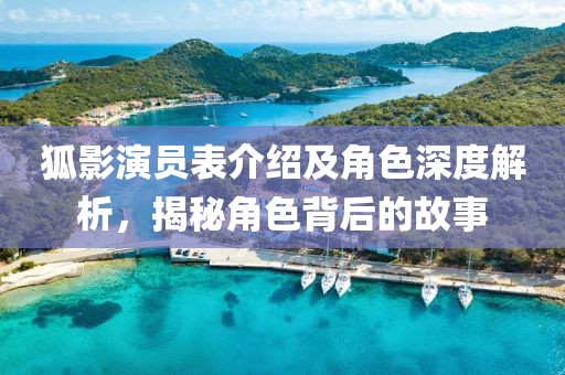 狐影演员表介绍及角色深度解析，揭秘角色背后的故事