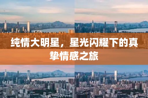 纯情大明星，星光闪耀下的真挚情感之旅