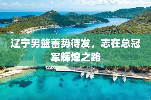 辽宁男篮蓄势待发，志在总冠军辉煌之路