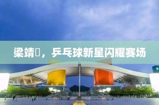 梁靖崑，乒乓球新星闪耀赛场