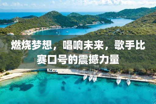 燃烧梦想，唱响未来，歌手比赛口号的震撼力量