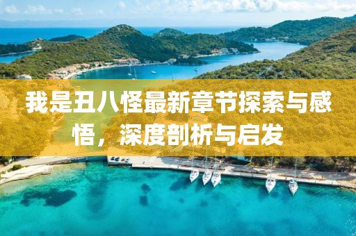 我是丑八怪最新章节探索与感悟，深度剖析与启发