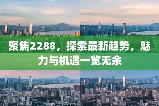 聚焦2288，探索最新趋势，魅力与机遇一览无余