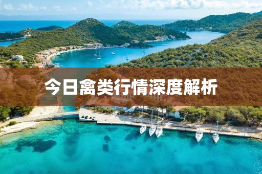 今日禽类行情深度解析