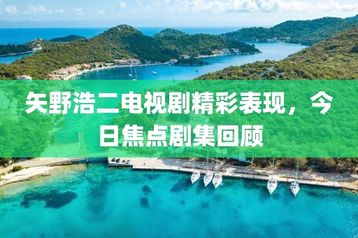 矢野浩二电视剧精彩表现，今日焦点剧集回顾