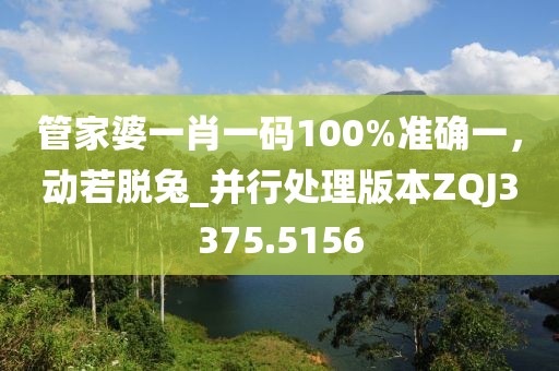 管家婆一肖一码100%准确一，动若脱兔_并行处理版本ZQJ3375.5156