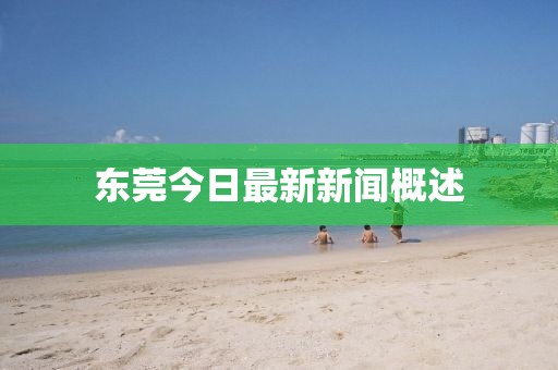 东莞今日最新新闻概述