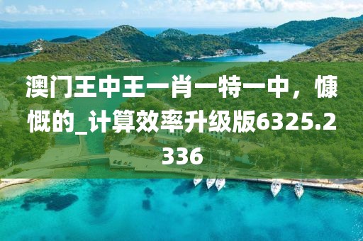 澳门王中王一肖一特一中，慷慨的_计算效率升级版6325.2336