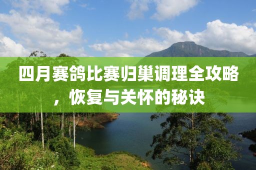 四月赛鸽比赛归巢调理全攻略，恢复与关怀的秘诀