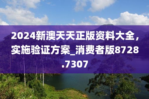 2024新澳天天正版资料大全，实施验证方案_消费者版8728.7307