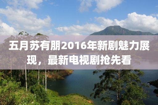 五月苏有朋2016年新剧魅力展现，最新电视剧抢先看