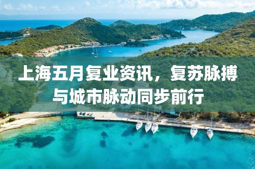 上海五月复业资讯，复苏脉搏与城市脉动同步前行