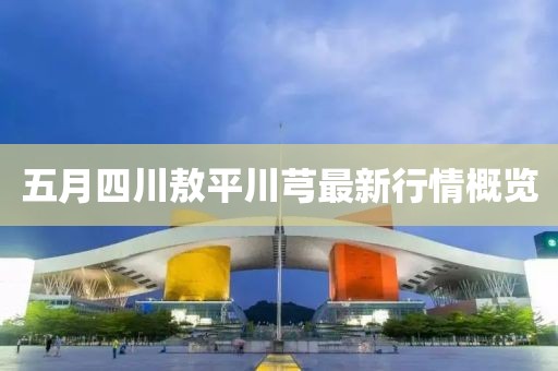 2025年5月6日