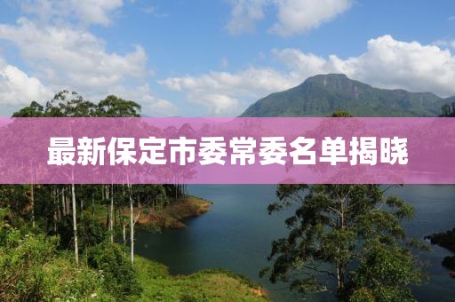 最新保定市委常委名单揭晓