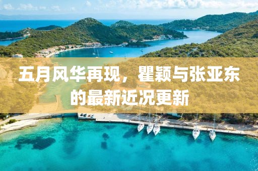 五月风华再现，瞿颖与张亚东的最新近况更新
