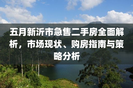 五月新沂市急售二手房全面解析，市场现状、购房指南与策略分析