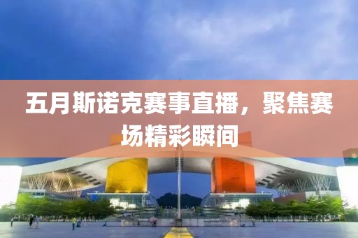 五月斯诺克赛事直播，聚焦赛场精彩瞬间