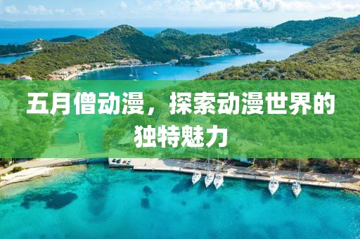 五月僧动漫，探索动漫世界的独特魅力