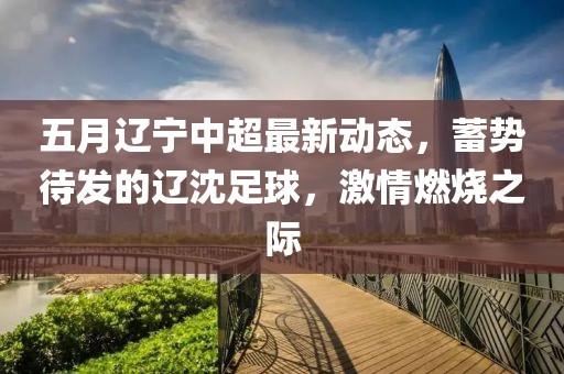 五月辽宁中超最新动态，蓄势待发的辽沈足球，激情燃烧之际