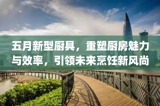 五月新型厨具，重塑厨房魅力与效率，引领未来烹饪新风尚