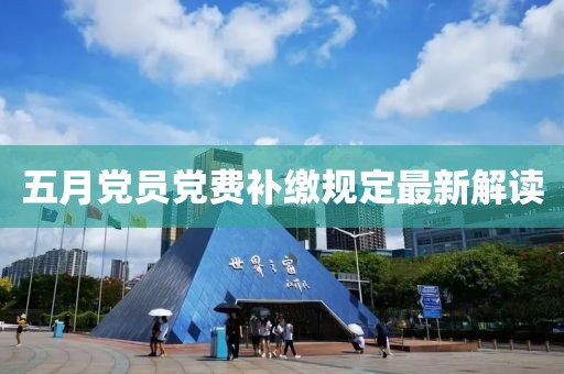 五月党员党费补缴规定最新解读