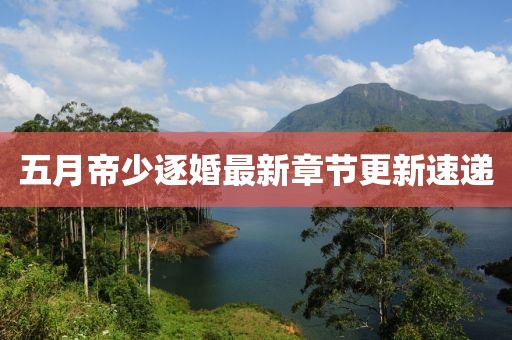 五月帝少逐婚最新章节更新速递