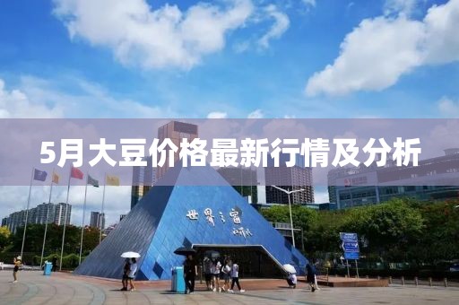5月大豆价格最新行情及分析