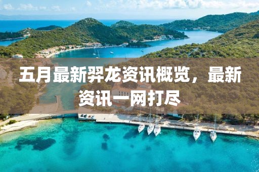 五月最新羿龙资讯概览，最新资讯一网打尽