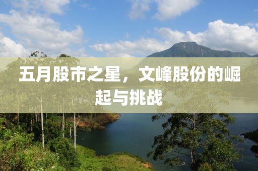 五月股市之星，文峰股份的崛起与挑战