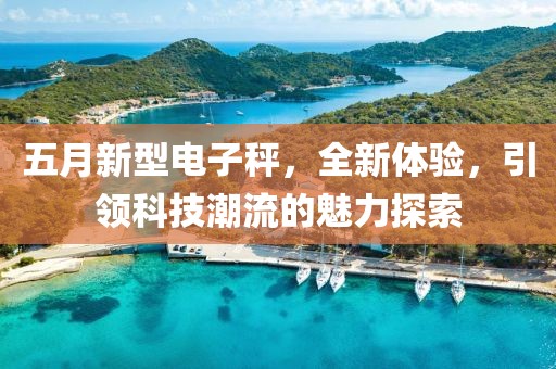 五月新型电子秤，全新体验，引领科技潮流的魅力探索