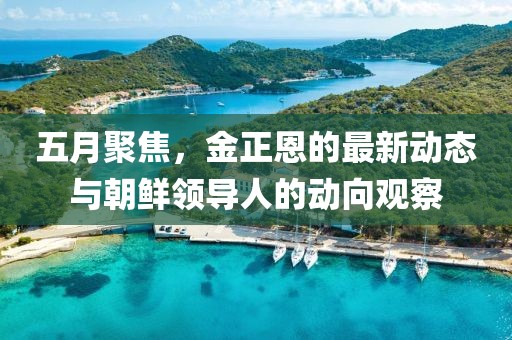 五月聚焦，金正恩的最新动态与朝鲜领导人的动向观察