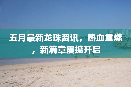 五月最新龙珠资讯，热血重燃，新篇章震撼开启