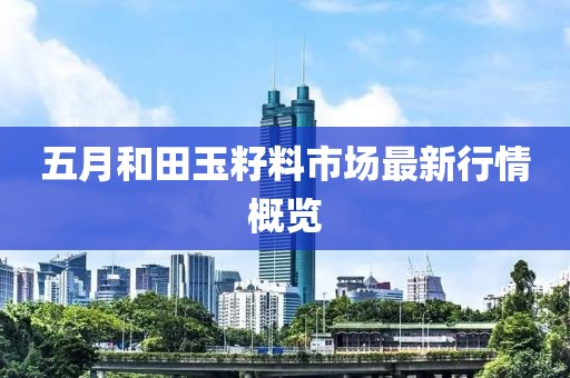 五月和田玉籽料市场最新行情概览