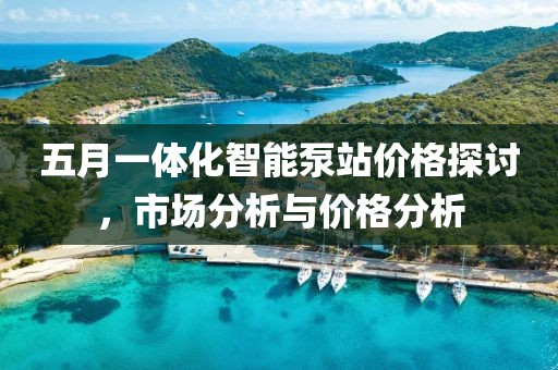 五月一体化智能泵站价格探讨，市场分析与价格分析