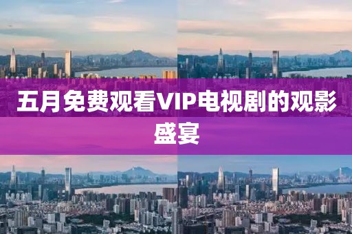 五月免费观看VIP电视剧的观影盛宴