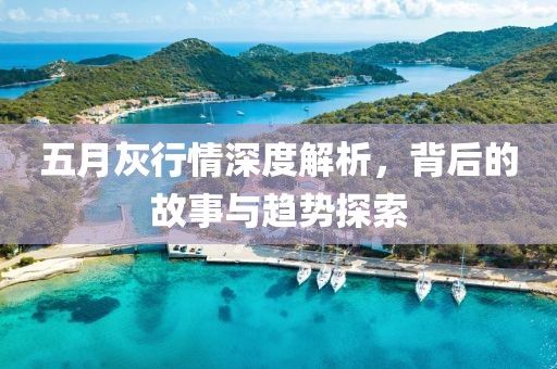 五月灰行情深度解析，背后的故事与趋势探索